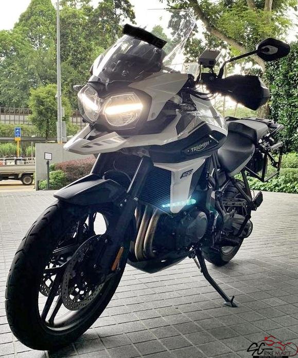 used triumph tiger