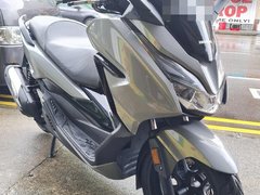 Used Honda Forza 300 for sale