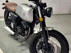 Mutt Akita 125
