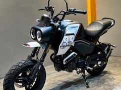 CFMoto XO Papio Trail