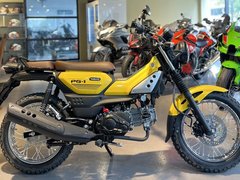 Yamaha PG-1