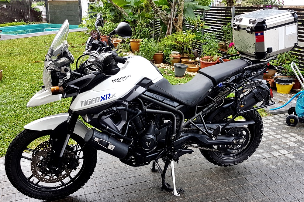 used triumph tiger 800