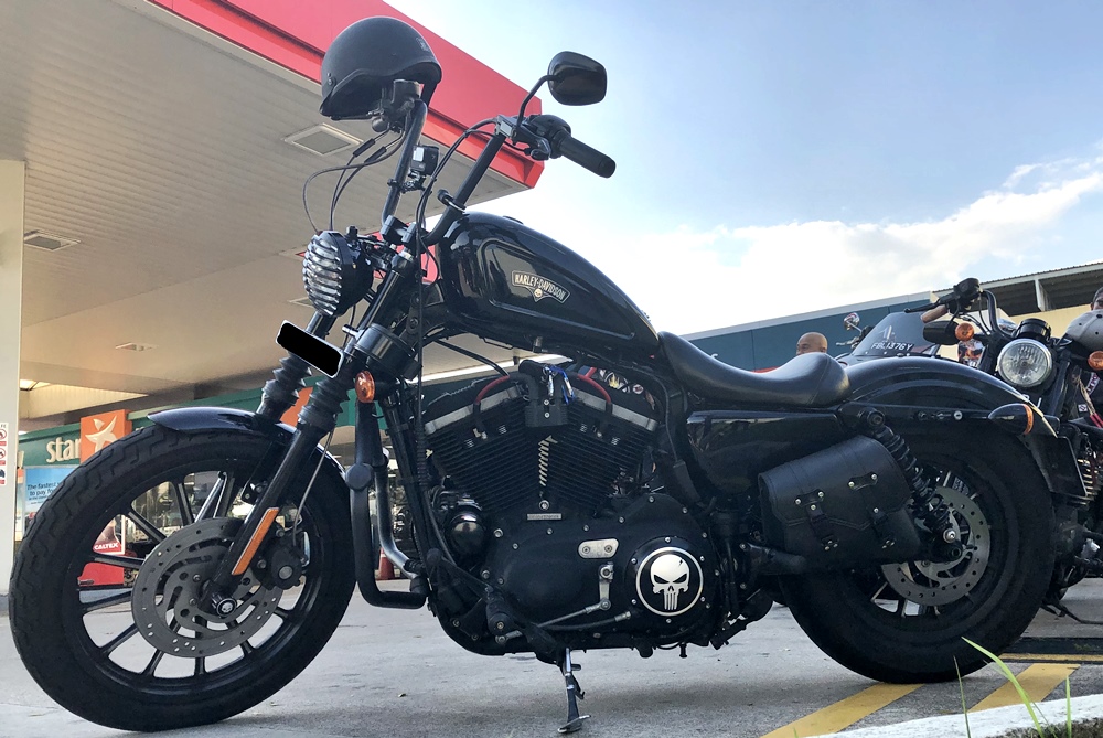 harley iron 883 for sale