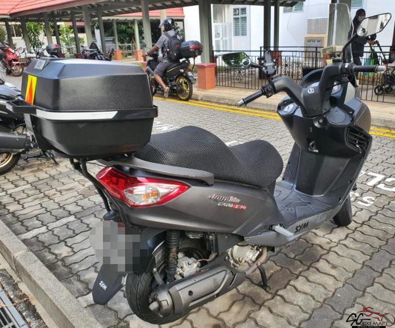jordan 4 toro bravo on feet