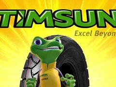 Timsum Tyres For Xmax 300