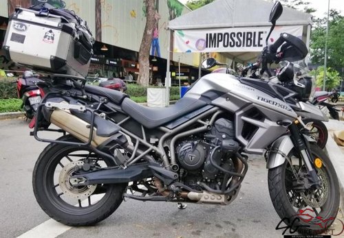 used triumph tiger